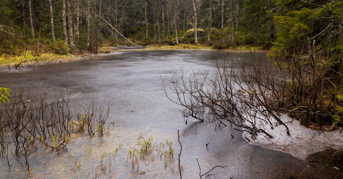 découvrez les erreurs courantes à éviter dans votre stratégie de cold emailing pour maximiser vos chances de succès. apprenez à améliorer vos messages et à séduire vos prospects avec des conseils pratiques.